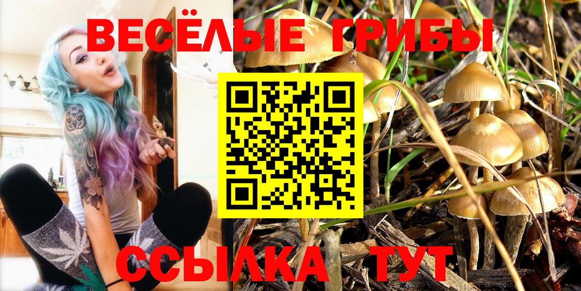 Псилоцибиновые грибы мицелий Кольчугино